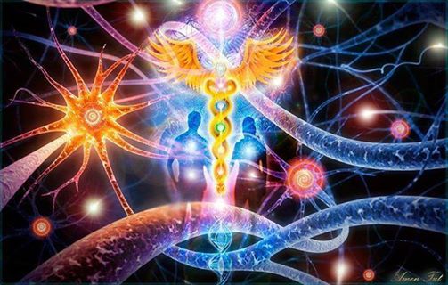 10690191_1551234145116272_9072192086659575840_n