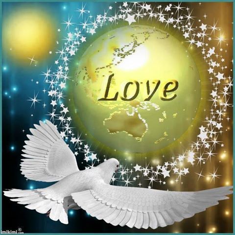 10898005_1531257533802773_8815820633799355671_n