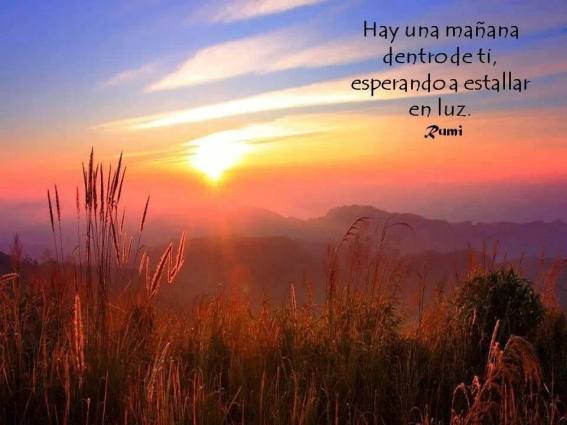 1236175_10203323474350441_3857523008985846856_n