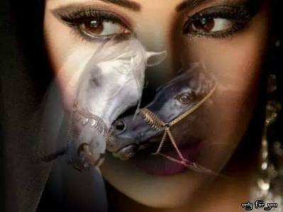 1455933_1501291133469996_5441319743238087630_n