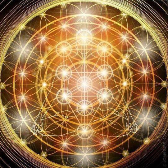 1514617_799728300083951_6614533989935550918_n