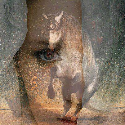 1962695_1408243352774775_1568644357_n