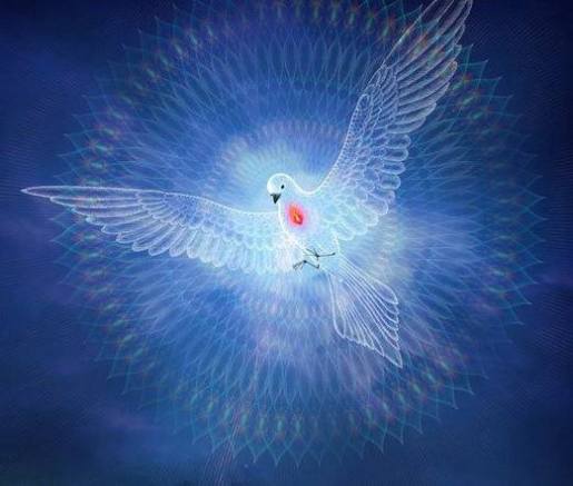 988337_407732002659780_510717195_n