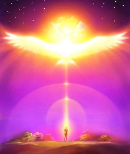 10464069_603110509834072_7409972241880183326_n