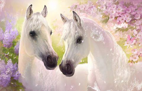 10801715_1547025472235346_5155906603573604067_n