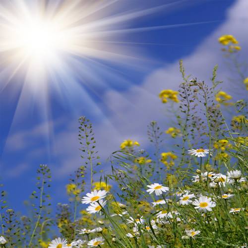 10982414_10204373299105158_3585917670052674313_n