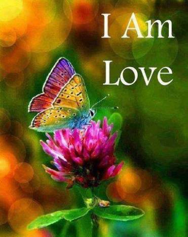 11001774_865857906789577_7111786868619834567_n