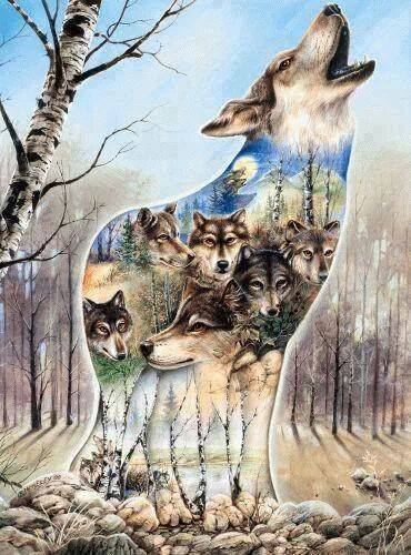 11018789_435152109967846_6077258032528899061_n