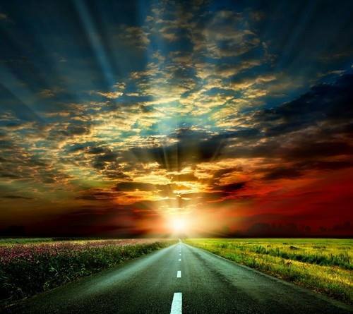 1549427_866205306754837_9213532498477127250_n