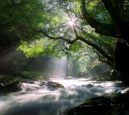 1723717_1596277213937833_2252645074295050345_n