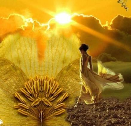 20512_941531142546502_1539663808351436878_n