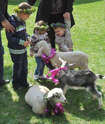 972314_273017562872197_3658940510249196275_n