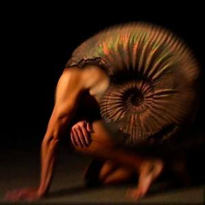 10172675_1513561858916005_4787250041359068071_n