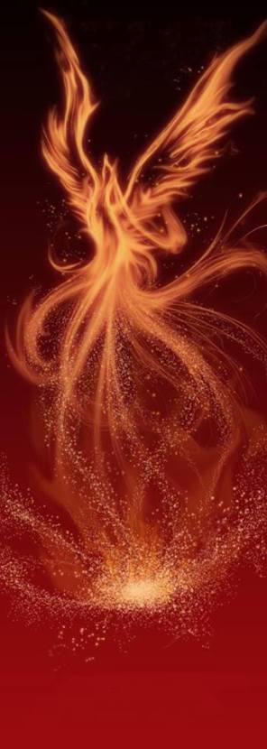 10371373_600262276769276_1532359929419023128_n