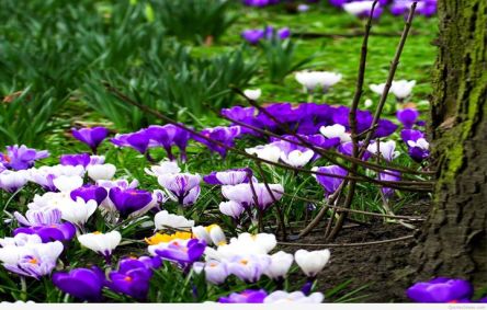 10496096_837398156297007_8894044522365917051_o