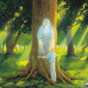 10565098_667474213334221_7000835510059315328_n