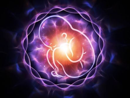 10570368_636884033097337_5485846671512290056_n