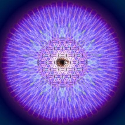 10580247_876835879011394_3106967292752756343_n