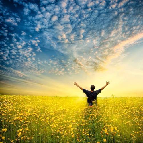 10849796_370592283119392_964101626303810737_n