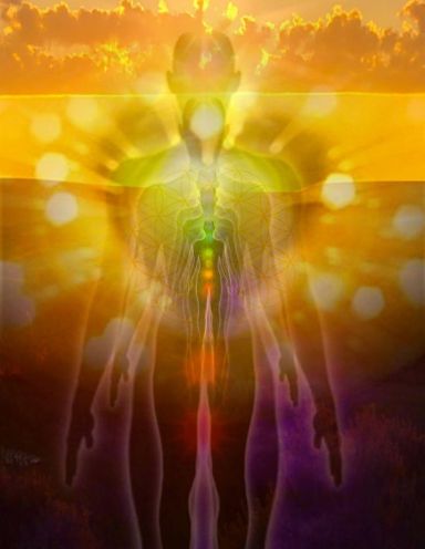 10903879_1030844260266009_3075356763645770296_o