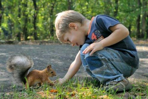 10987316_670748529700589_2217211235928069936_o