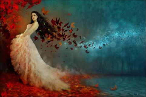 10989654_970633289635997_2649264034047607389_n