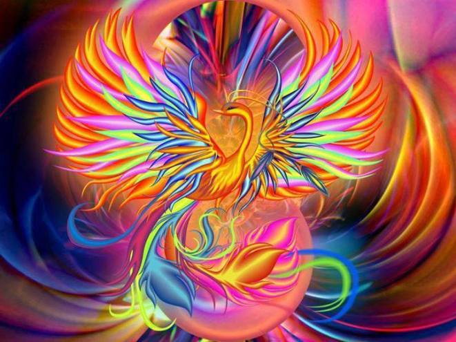 10996722_10153127116825859_6122532106393892728_n