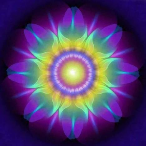 11047272_1572100223069168_86621339_n