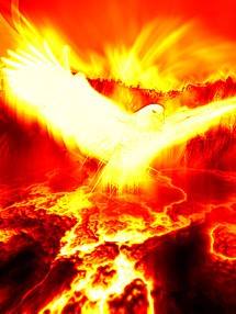 11083786_591900197579974_2162483821986202046_n