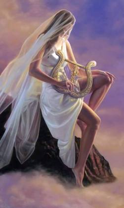 11121127_366055776913532_2007987829_n