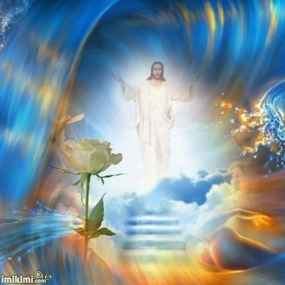 1504085_572994726137188_4453312620897908084_n