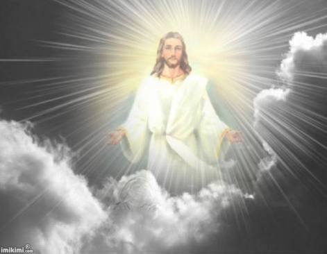 1912282_531249563645038_973852043278430441_n