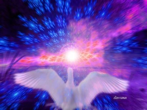 1966838_700416796645746_1384936074_n