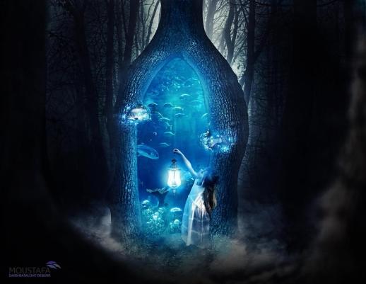 10151332_1550867595148713_6332805841904115460_n