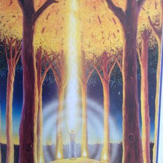 10176122_1417243905204529_5810386661120492011_n