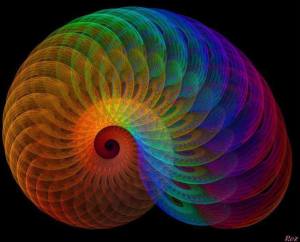 10176211_289887677854289_7405088615364177018_n