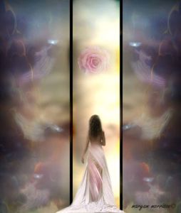 10298756_848709065143126_5766521389731214041_n