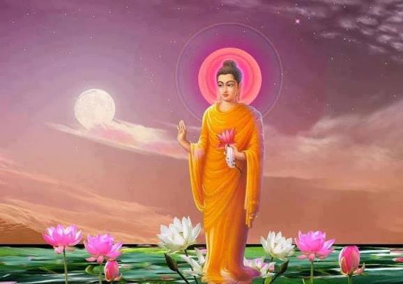 10305263_681090925303636_7119093578423874855_n