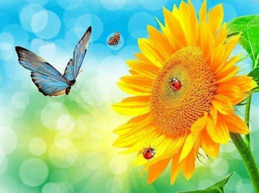 10448219_821581667931276_9169896200062125364_n