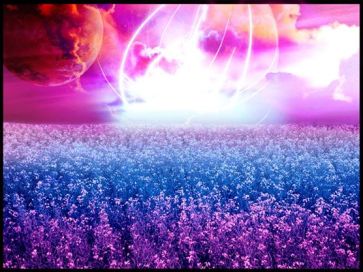 10479735_649152498533812_2759072875179955927_n