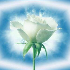 10846450_345711858934721_5209940581960852915_n