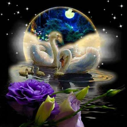 10898263_755088517913925_8585844212851824718_n