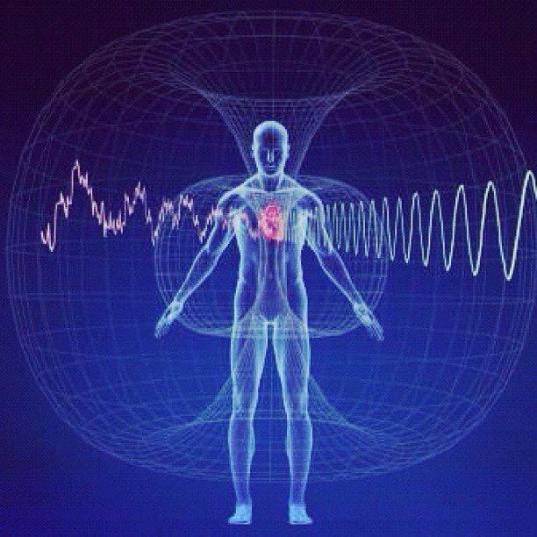 10924755_826732287385297_4398031220486831207_n