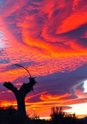 11110885_451635678332902_4484309842545091032_n