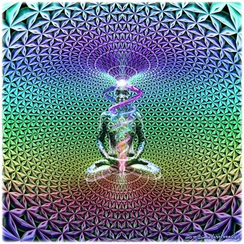 11139407_10153363840478267_4168196008385857300_n