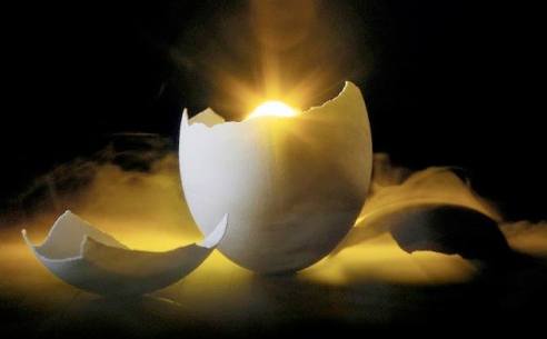 15422_837676756273315_4835051288278598872_n