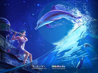 400_1223450645_tocandoparadelfines-1024x768