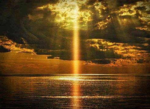 998566_383511711748476_188527505_n