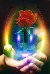 10420199_836242146470300_4095439868174312038_n