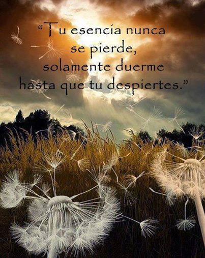 10435641_643096842477728_7663964025647749350_n